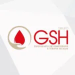 Analista De Controladoria - Grupo Gsh - Flamengo Rj 1 Grupo Gsh