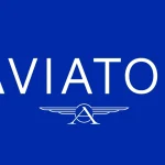 Aviator Moda Masculina