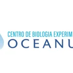 Estágio De Ensino Técnico / Superior - Oceanus Biologia - Rio De Janeiro 1 Oceanus Biologia