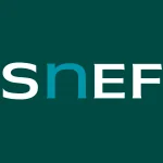 Estágio De Engenharia De Aplicação E Projetos - 2 Vagas - Snef Brasil - Rio De Janeiro 1 Snef Brasil