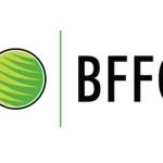 Analista De Marketing - Bffc - Rio De Janeiro 1 Bffc